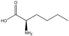 R-2-aminohexanoic acid Structure