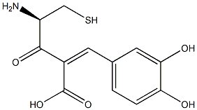 cysteinylcaffeic acid Structure