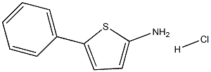 5-PHENYL-2-THIOPHENAMINEHYDROCHLORIDE 구조식 이미지
