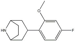 3-(4-fluoro-2-methoxyphenyl)-8-azabicyclo[3.2.1]octane 구조식 이미지