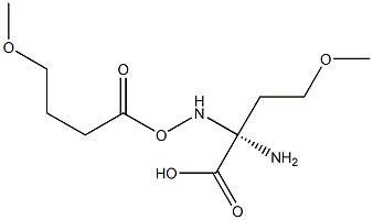 O-METHYL-L-HOMOSERINE, (S)-2-AMINO-4-METHOXYBUTYRIC ACID Structure