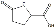 DL-PYROGLUTAMIC ACID (USP-23) Structure