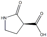 (S)-2-PYRROLIDINONE-3-CARBOXYLIC ACID 구조식 이미지