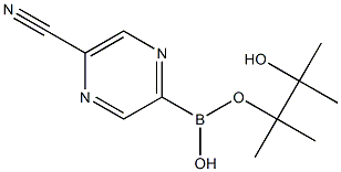 5-CYANOPYRAZINE-2-BORONIC ACID PINACOL ESTER 구조식 이미지