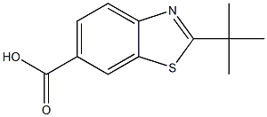 2-TERT-BUTYL-1,3-BENZOTHIAZOLE-6-CARBOXYLIC ACID Structure
