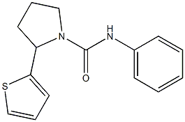 N1-phenyl-2-(2-thienyl)pyrrolidine-1-carboxamide 구조식 이미지