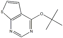 4-(tert-butoxy)thieno[2,3-d]pyrimidine 구조식 이미지