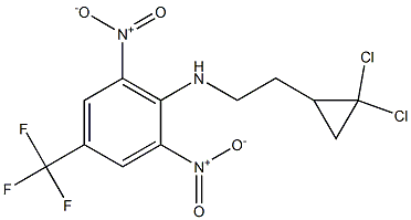 N1-[2-(2,2-dichlorocyclopropyl)ethyl]-2,6-dinitro-4-(trifluoromethyl)aniline 구조식 이미지