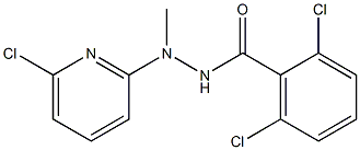 2,6-dichloro-N'-(6-chloro-2-pyridinyl)-N'-methylbenzenecarbohydrazide Structure