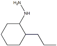 1-(2-propylcyclohexyl)hydrazine Structure