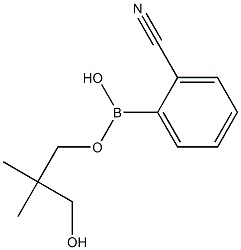 2-Cyanophenylboronic acid neopentylglycol ester 구조식 이미지