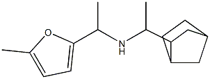 (1-{bicyclo[2.2.1]heptan-2-yl}ethyl)[1-(5-methylfuran-2-yl)ethyl]amine Structure