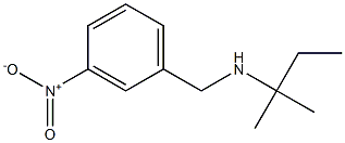 (2-methylbutan-2-yl)[(3-nitrophenyl)methyl]amine Structure