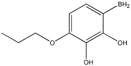 (4-propoxyphenyl)boranediol Structure