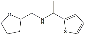 (oxolan-2-ylmethyl)[1-(thiophen-2-yl)ethyl]amine 구조식 이미지