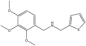 (thiophen-2-ylmethyl)[(2,3,4-trimethoxyphenyl)methyl]amine 구조식 이미지