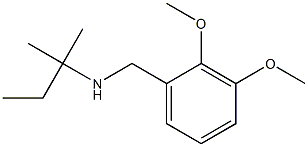 [(2,3-dimethoxyphenyl)methyl](2-methylbutan-2-yl)amine Structure