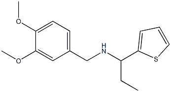 [(3,4-dimethoxyphenyl)methyl][1-(thiophen-2-yl)propyl]amine Structure