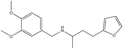 [(3,4-dimethoxyphenyl)methyl][4-(furan-2-yl)butan-2-yl]amine 구조식 이미지