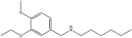 [(3-ethoxy-4-methoxyphenyl)methyl](hexyl)amine Structure