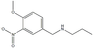 [(4-methoxy-3-nitrophenyl)methyl](propyl)amine 구조식 이미지