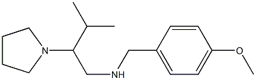 [(4-methoxyphenyl)methyl][3-methyl-2-(pyrrolidin-1-yl)butyl]amine 구조식 이미지