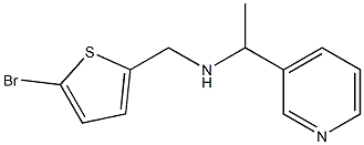 [(5-bromothiophen-2-yl)methyl][1-(pyridin-3-yl)ethyl]amine Structure