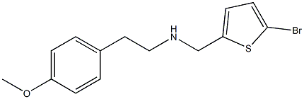 [(5-bromothiophen-2-yl)methyl][2-(4-methoxyphenyl)ethyl]amine 구조식 이미지