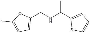 [(5-methylfuran-2-yl)methyl][1-(thiophen-2-yl)ethyl]amine Structure