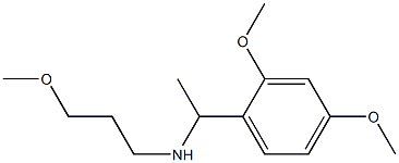 [1-(2,4-dimethoxyphenyl)ethyl](3-methoxypropyl)amine 구조식 이미지