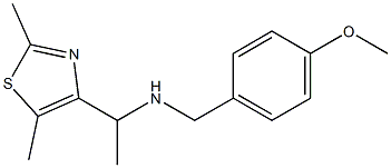 [1-(2,5-dimethyl-1,3-thiazol-4-yl)ethyl][(4-methoxyphenyl)methyl]amine 구조식 이미지