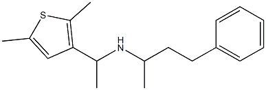 [1-(2,5-dimethylthiophen-3-yl)ethyl](4-phenylbutan-2-yl)amine 구조식 이미지