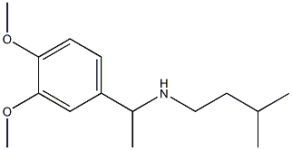 [1-(3,4-dimethoxyphenyl)ethyl](3-methylbutyl)amine Structure
