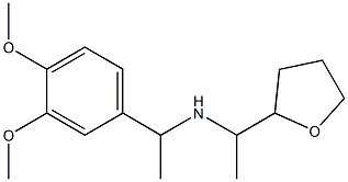 [1-(3,4-dimethoxyphenyl)ethyl][1-(oxolan-2-yl)ethyl]amine Structure