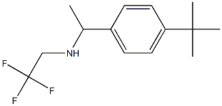 [1-(4-tert-butylphenyl)ethyl](2,2,2-trifluoroethyl)amine Structure