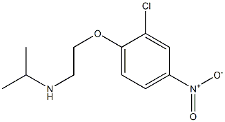 [2-(2-chloro-4-nitrophenoxy)ethyl](propan-2-yl)amine 구조식 이미지