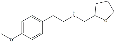 [2-(4-methoxyphenyl)ethyl](oxolan-2-ylmethyl)amine 구조식 이미지