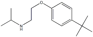 [2-(4-tert-butylphenoxy)ethyl](propan-2-yl)amine 구조식 이미지