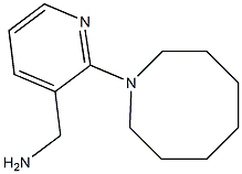 [2-(azocan-1-yl)pyridin-3-yl]methanamine Structure