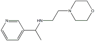 [2-(morpholin-4-yl)ethyl][1-(pyridin-3-yl)ethyl]amine 구조식 이미지