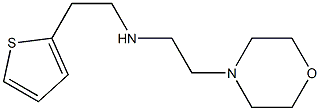 [2-(morpholin-4-yl)ethyl][2-(thiophen-2-yl)ethyl]amine Structure