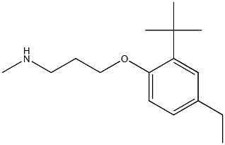 [3-(2-tert-butyl-4-ethylphenoxy)propyl](methyl)amine 구조식 이미지