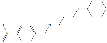 [3-(cyclohexyloxy)propyl][(4-nitrophenyl)methyl]amine Structure