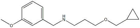 [3-(cyclopropylmethoxy)propyl][(3-methoxyphenyl)methyl]amine 구조식 이미지