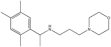 [3-(morpholin-4-yl)propyl][1-(2,4,5-trimethylphenyl)ethyl]amine Structure