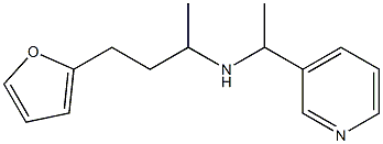 [4-(furan-2-yl)butan-2-yl][1-(pyridin-3-yl)ethyl]amine 구조식 이미지