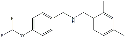 {[4-(difluoromethoxy)phenyl]methyl}[(2,4-dimethylphenyl)methyl]amine Structure