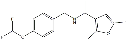 {[4-(difluoromethoxy)phenyl]methyl}[1-(2,5-dimethylfuran-3-yl)ethyl]amine 구조식 이미지