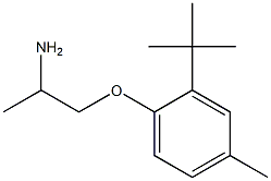 1-(2-tert-butyl-4-methylphenoxy)propan-2-amine 구조식 이미지