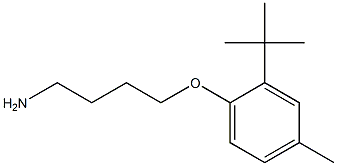 1-(4-aminobutoxy)-2-tert-butyl-4-methylbenzene 구조식 이미지